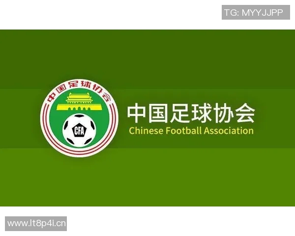 以中国足协为核心推动足球改革与发展路径探析